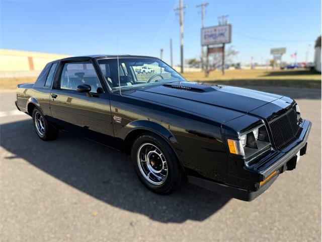 1987 Buick Regal (CC-1896085) for sale in Ramsey, Minnesota