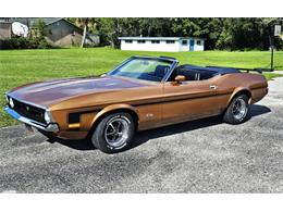 1971 Ford Mustang (CC-1896141) for sale in Punta Gorda, Florida