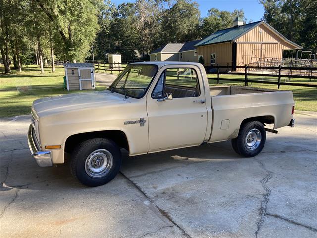 1985 Chevrolet C10 (CC-1896222) for sale in Tallahassee , Florida