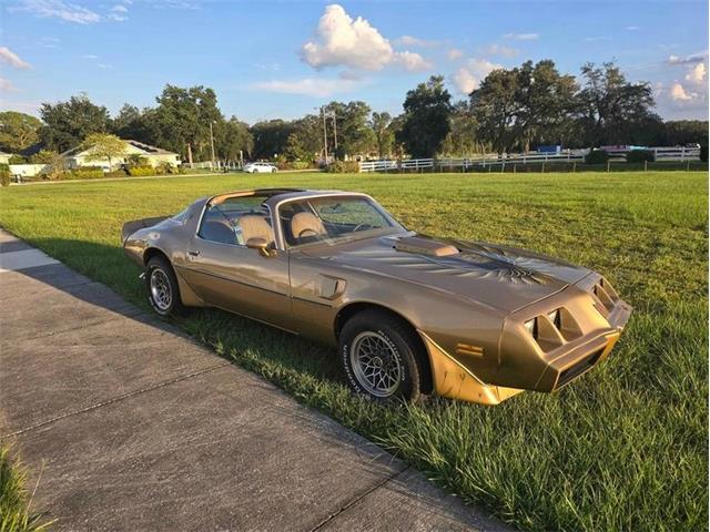 1979 Pontiac Firebird Trans Am (CC-1896266) for sale in Palmetto, Florida