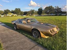 1979 Pontiac Firebird Trans Am (CC-1896266) for sale in Palmetto, Florida