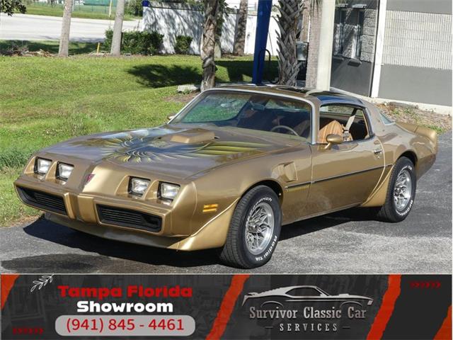 1979 Pontiac Firebird Trans Am (CC-1896266) for sale in Palmetto, Florida