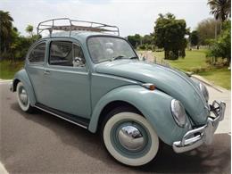 1965 Volkswagen Beetle (CC-1896283) for sale in Punta Gorda, Florida