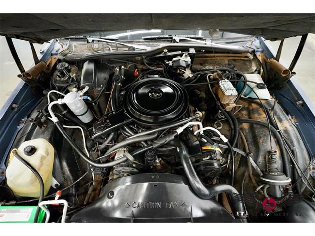 1984 Chevrolet Caprice (CC-1896311) for sale in Rowley, Massachusetts