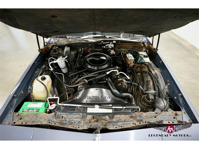 1984 Chevrolet Caprice (CC-1896311) for sale in Rowley, Massachusetts