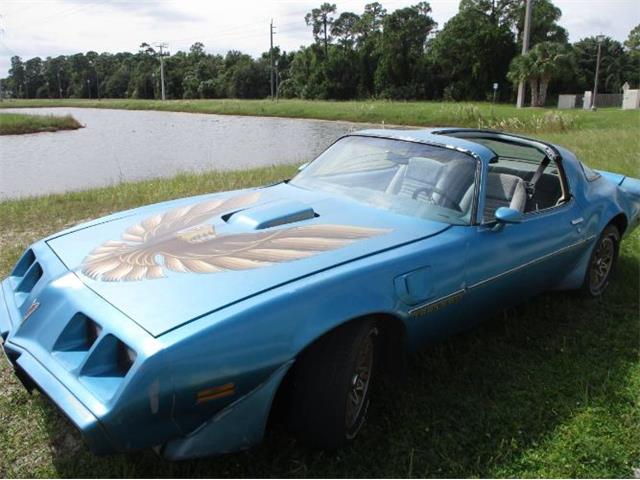 1979 Pontiac Firebird Trans Am (CC-1896415) for sale in Cadillac, Michigan