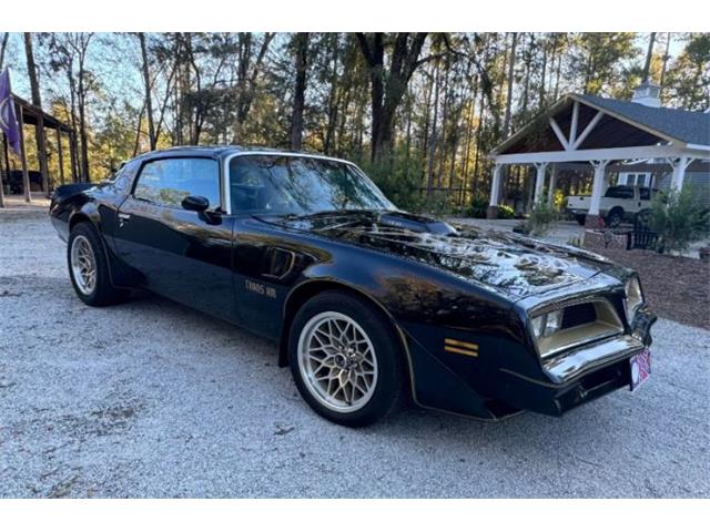 1977 Pontiac Firebird Trans Am (CC-1896419) for sale in Cadillac, Michigan