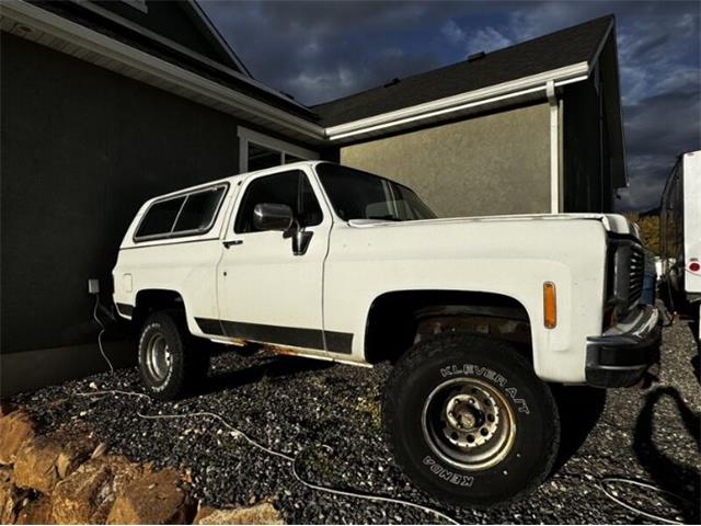 1977 Chevrolet Blazer (CC-1896424) for sale in Cadillac, Michigan