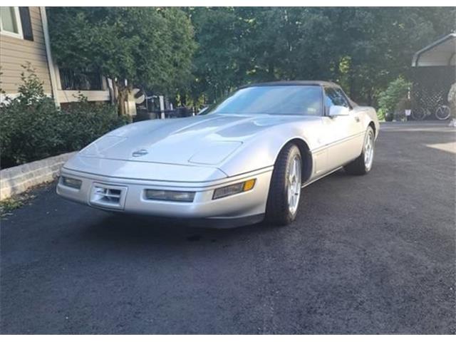 1996 Chevrolet Corvette (CC-1896617) for sale in Greensboro, North Carolina