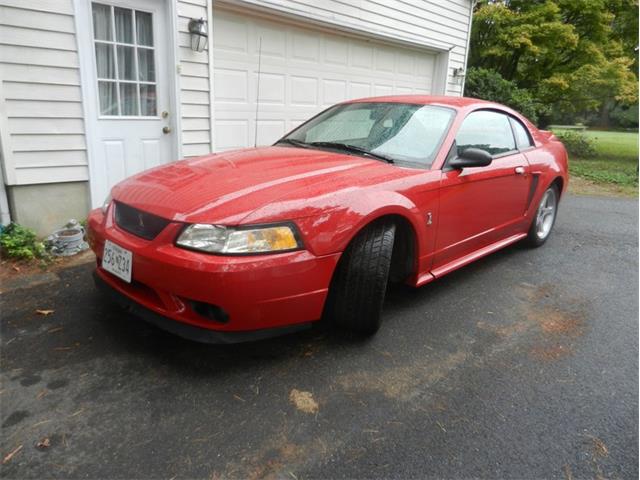 1999 Ford Mustang Cobra (CC-1890669) for sale in Carlisle, Pennsylvania