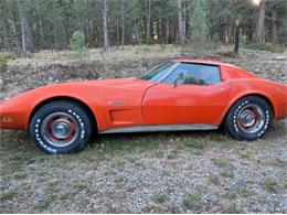 1975 Chevrolet Corvette (CC-1896939) for sale in Cadillac, Michigan