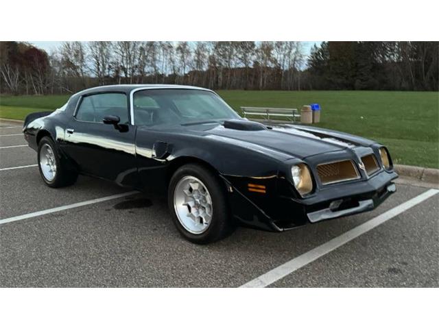 1976 Pontiac Firebird (CC-1896940) for sale in Cadillac, Michigan