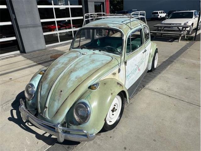 1965 Volkswagen Beetle (CC-1896955) for sale in Cadillac, Michigan