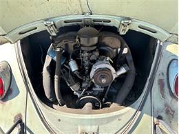 1965 Volkswagen Beetle (CC-1896955) for sale in Cadillac, Michigan
