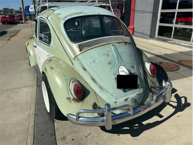 1965 Volkswagen Beetle (CC-1896955) for sale in Cadillac, Michigan