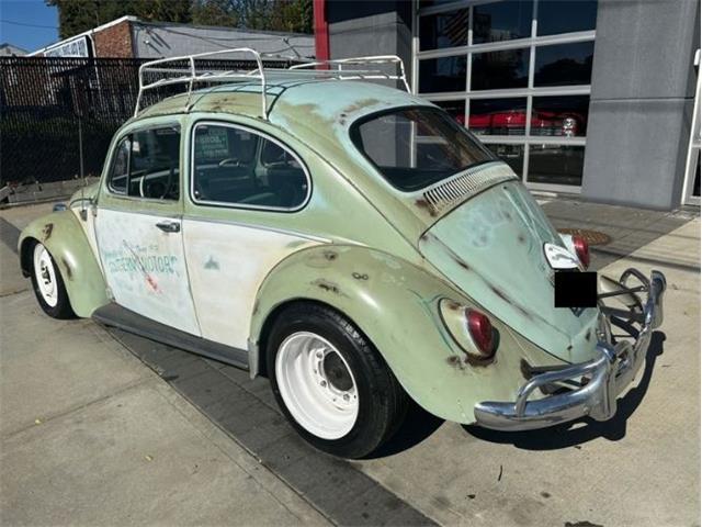 1965 Volkswagen Beetle (CC-1896955) for sale in Cadillac, Michigan