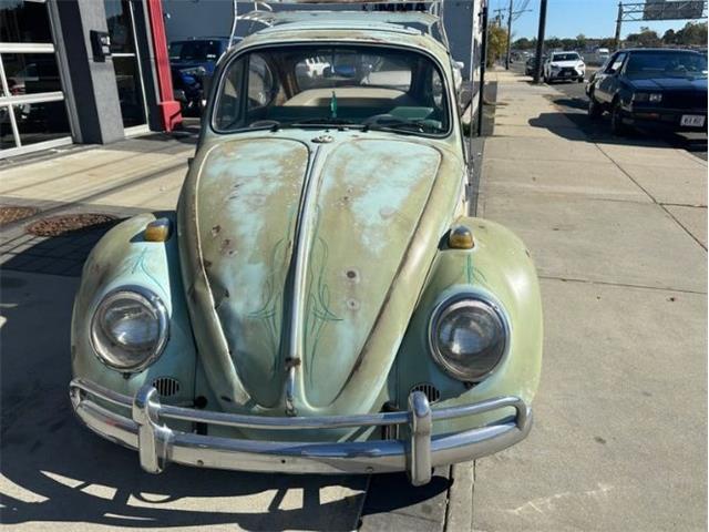 1965 Volkswagen Beetle (CC-1896955) for sale in Cadillac, Michigan