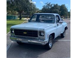 1979 Chevrolet C10 (CC-1896960) for sale in Cadillac, Michigan