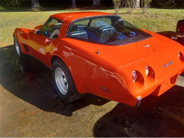 1979 Chevrolet Corvette (CC-1896973) for sale in Cadillac, Michigan