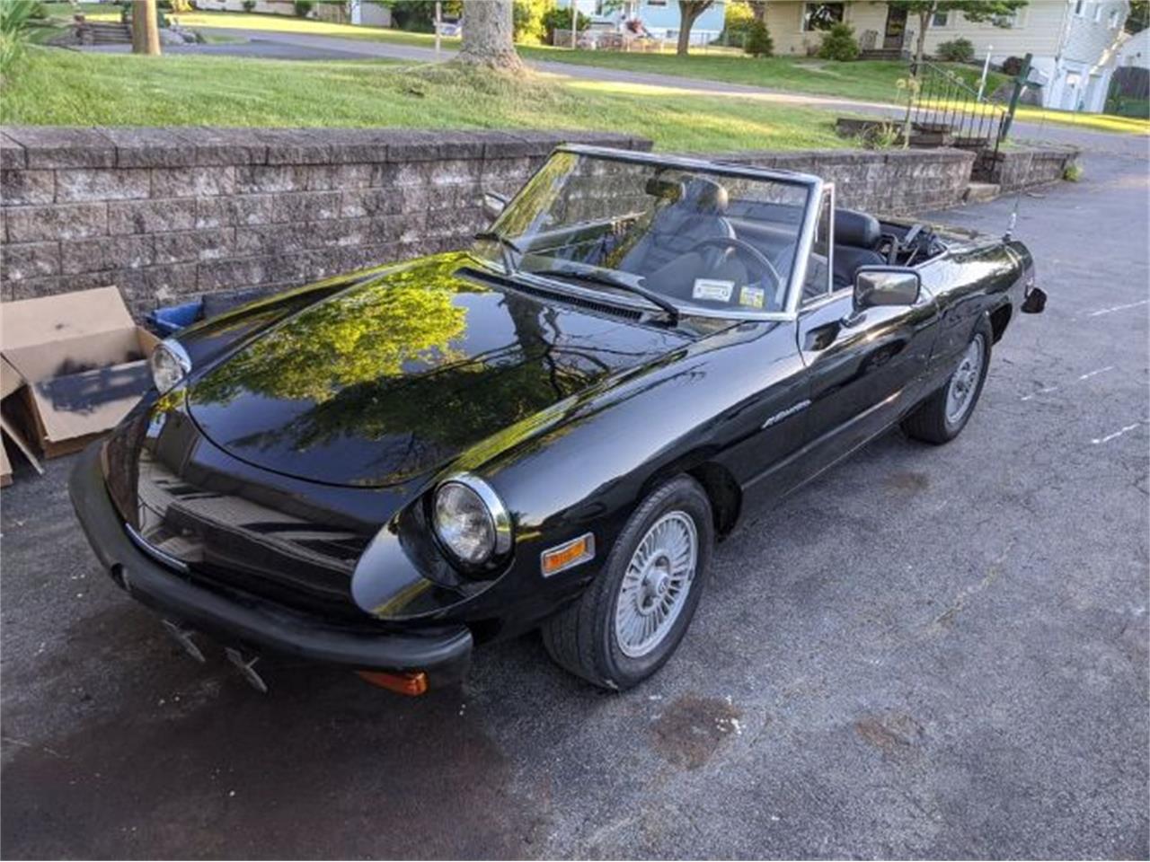 1981 Alfa Romeo 2000 Spider Veloce for Sale CC1896975