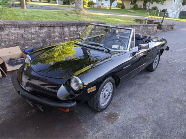 1981 Alfa Romeo 2000 Spider Veloce (CC-1896975) for sale in Cadillac, Michigan