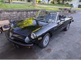 1981 Alfa Romeo 2000 Spider Veloce (CC-1896975) for sale in Cadillac, Michigan