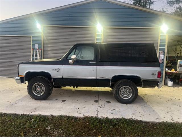 1985 Chevrolet Blazer (CC-1897513) for sale in Cadillac, Michigan