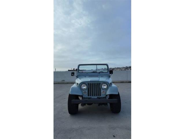 1984 Jeep CJ7 (CC-1897531) for sale in Cadillac, Michigan