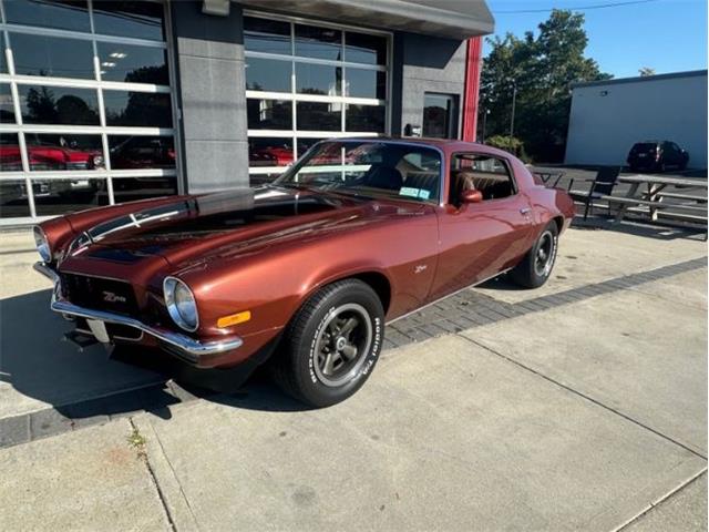 1971 Chevrolet Camaro (CC-1897536) for sale in Cadillac, Michigan