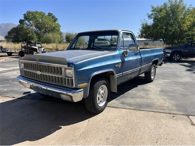 1981 Chevrolet C20 (CC-1897539) for sale in Cadillac, Michigan