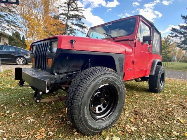 1989 Jeep Wrangler (CC-1897574) for sale in Cadillac, Michigan