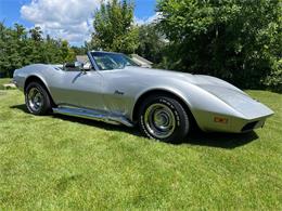 1973 Chevrolet Corvette (CC-1897608) for sale in Stanley, Wisconsin