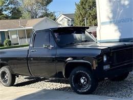 1978 Chevrolet C10 (CC-1897896) for sale in Cadillac, Michigan