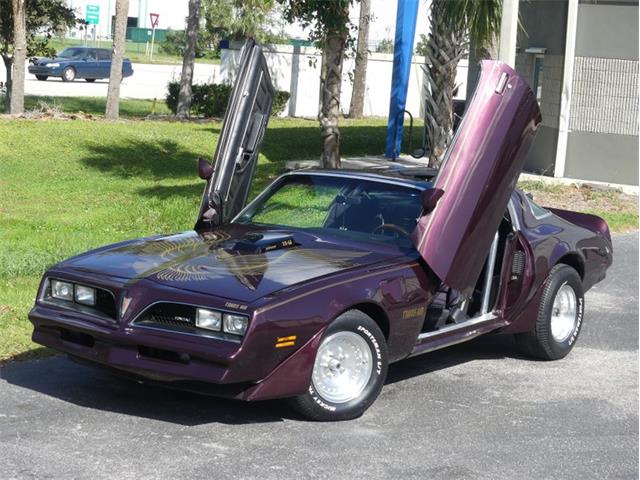 1977 Pontiac Firebird Trans Am (CC-1898302) for sale in Palmetto, Florida