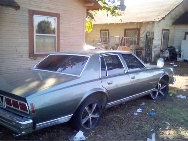 1978 Chevrolet Caprice (CC-1898341) for sale in Cadillac, Michigan