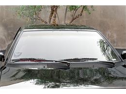 1982 Ferrari Mondial (CC-1898451) for sale in Beverly Hills, California
