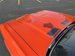1969 Chevrolet Chevelle SS (CC-1898551) for sale in Elkhorn, Nebraska
