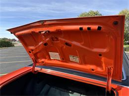 1969 Chevrolet Chevelle SS (CC-1898551) for sale in Elkhorn, Nebraska