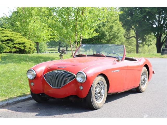 1955 Austin-Healey 100-4 (CC-1898666) for sale in Astoria, New York