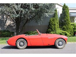 1955 Austin-Healey 100-4 (CC-1898666) for sale in Astoria, New York