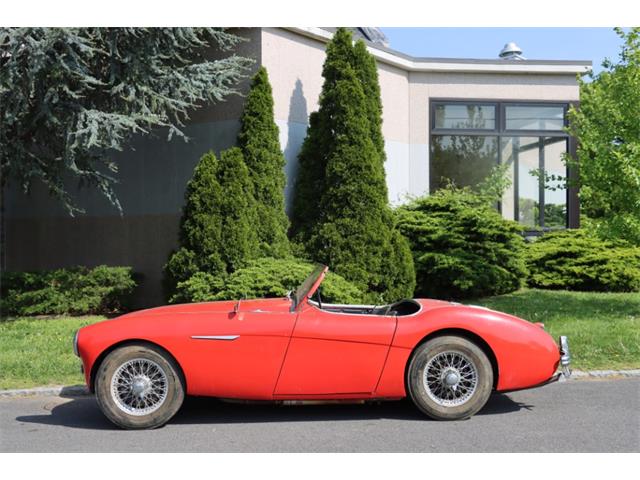 1955 Austin-Healey 100-4 (CC-1898666) for sale in Astoria, New York