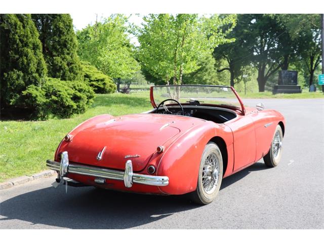 1955 Austin-Healey 100-4 (CC-1898666) for sale in Astoria, New York
