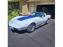 1978 Chevrolet Corvette (CC-1899040) for sale in Cadillac, Michigan