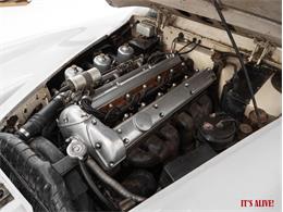 1960 Jaguar XK (CC-1899112) for sale in St Louis, Missouri