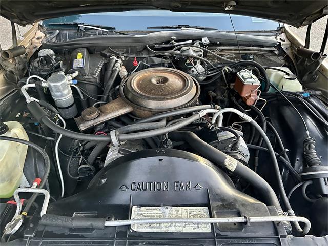 1985 Chevrolet Caprice (CC-1890916) for sale in Abington, Massachusetts