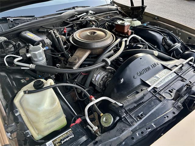 1985 Chevrolet Caprice (CC-1890916) for sale in Abington, Massachusetts