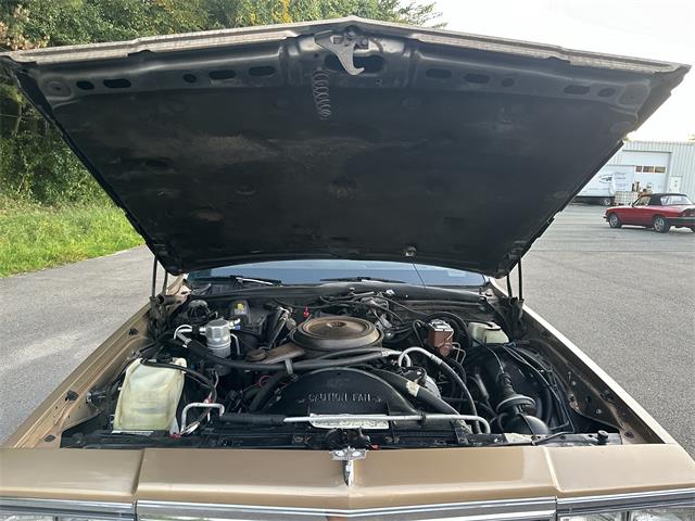 1985 Chevrolet Caprice (CC-1890916) for sale in Abington, Massachusetts
