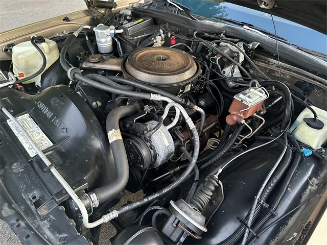 1985 Chevrolet Caprice (CC-1890916) for sale in Abington, Massachusetts