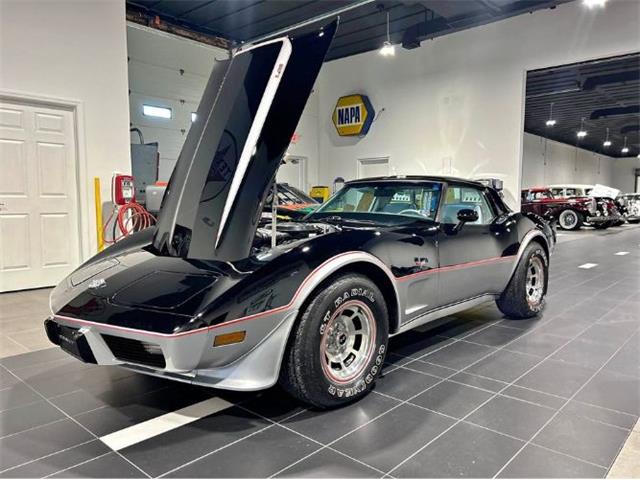 1978 Chevrolet Corvette (CC-1899290) for sale in Cadillac, Michigan