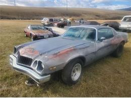 1976 Chevrolet Camaro (CC-1899652) for sale in Cadillac, Michigan